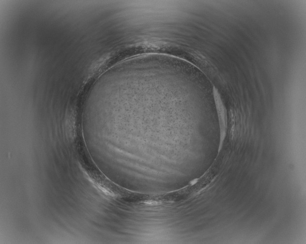 X0000054390496200508121636