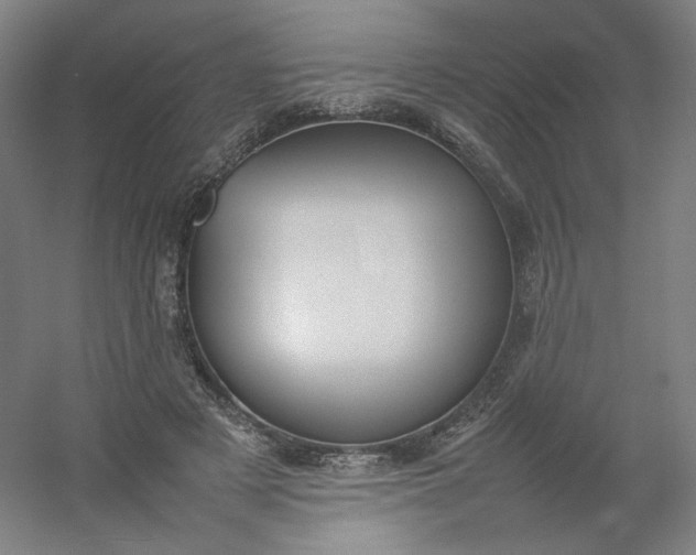 X0000054390497200508121636