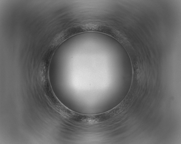 X0000054390498200508121636