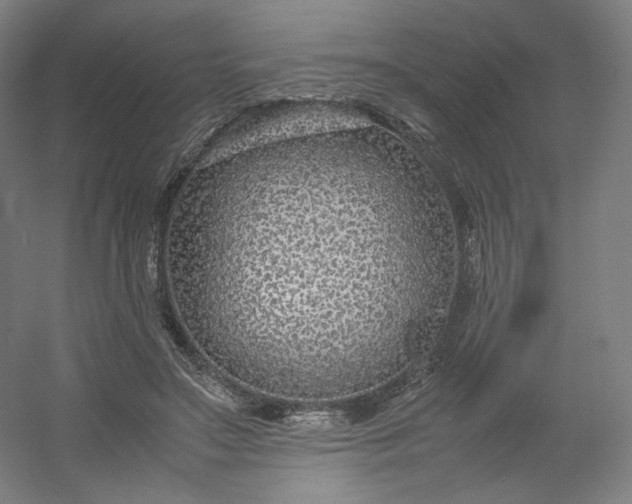 X0000054390499200508121636