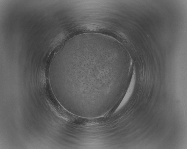 X0000054390500200508121636