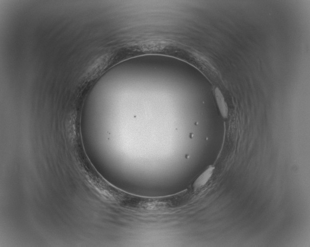 X0000054390501200508121636