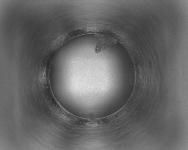 X0000054390502200508121636