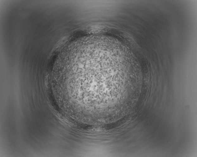 X0000054390503200508121636