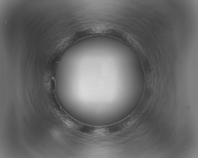 X0000054390505200508121636