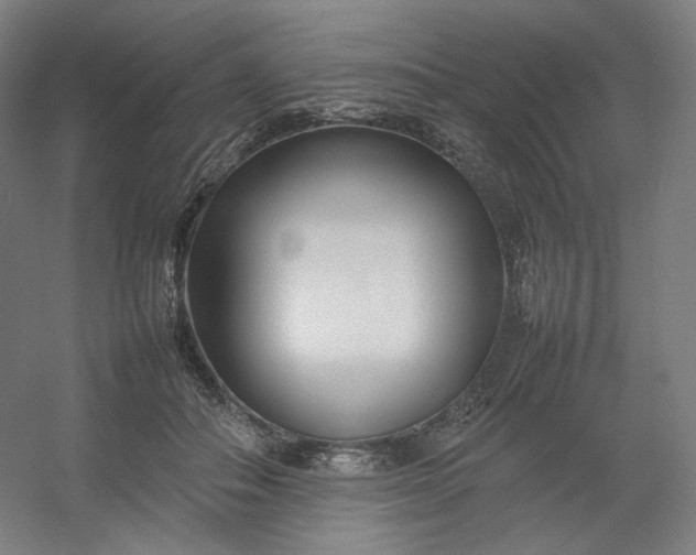 X0000054390506200508121636