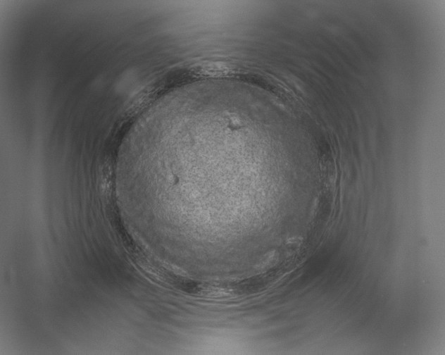 X0000054390507200508121636