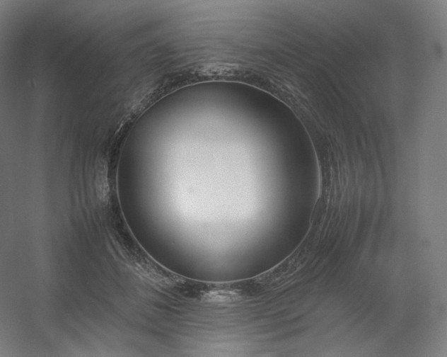 X0000054390508200508121636