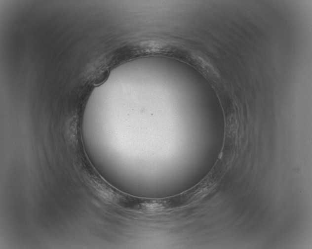 X0000054390509200508121636