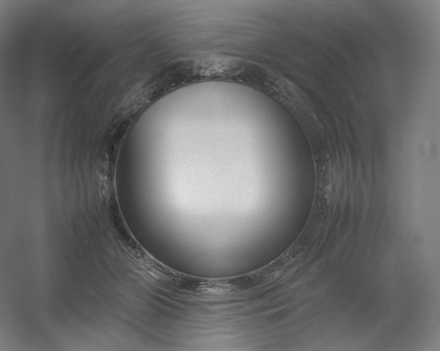 X0000054390510200508121636