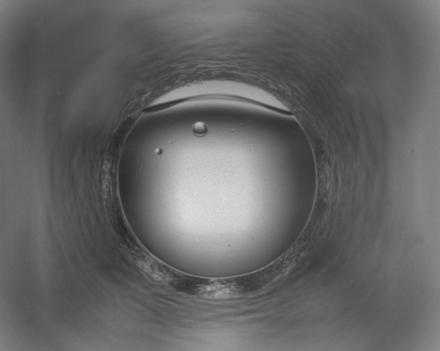 X0000054390511200508121636