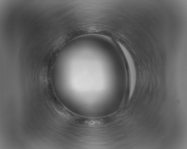 X0000054390512200508121636