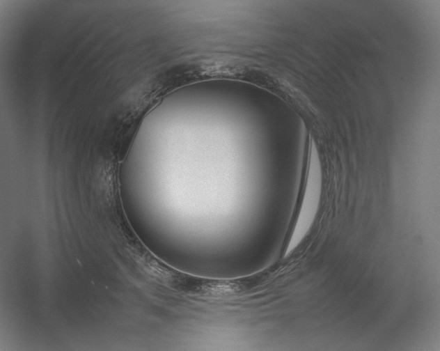 X0000054390513200508121636