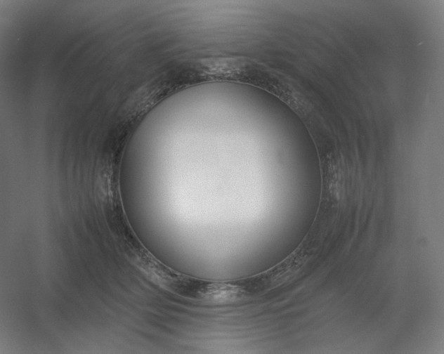 X0000054390514200508121636