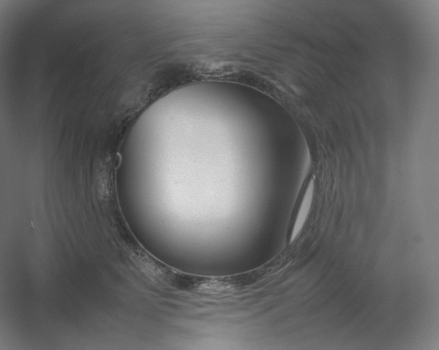 X0000054390515200508121636