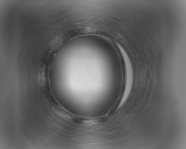 X0000054390516200508121636