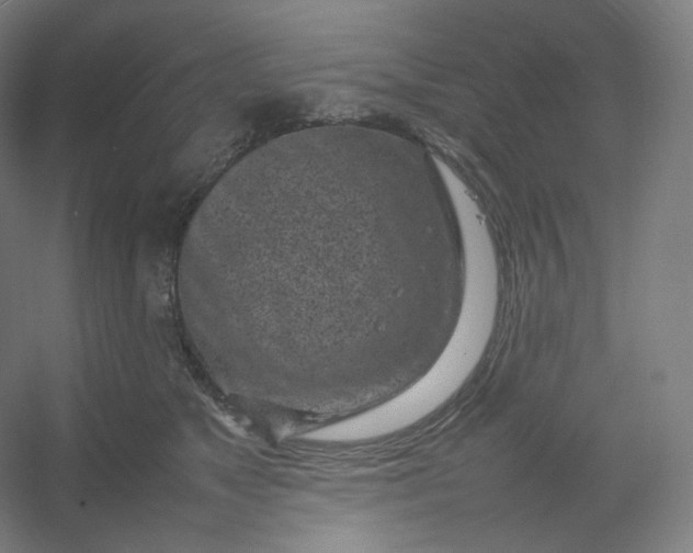 X0000054390517200508121636