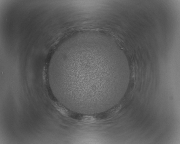 X0000054390519200508121636