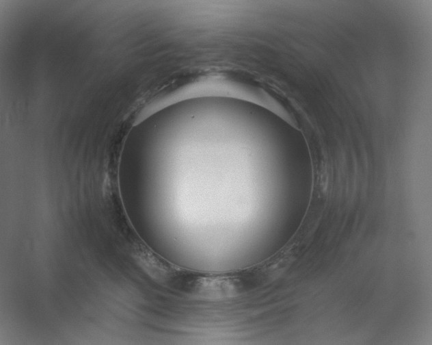 X0000054390520200508121636