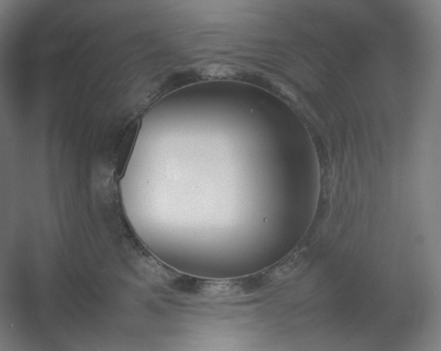 X0000054390521200508121636