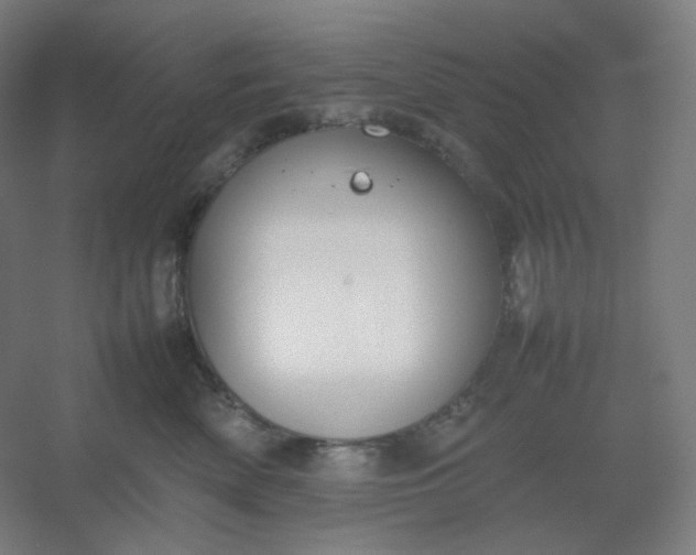 X0000054390522200508121636