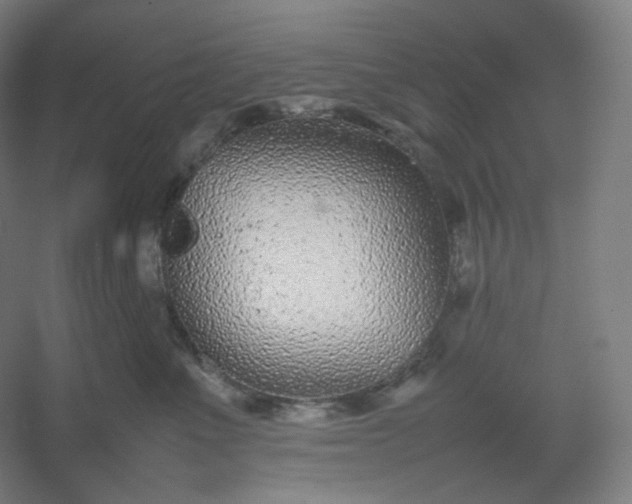 X0000054390523200508121636