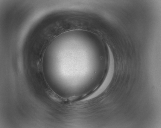 X0000054390524200508121636