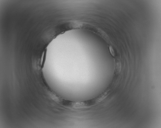 X0000054390525200508121636