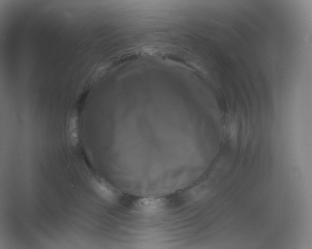 X0000054390526200508121636