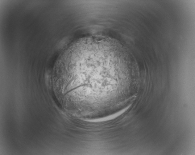 X0000054390527200508121636