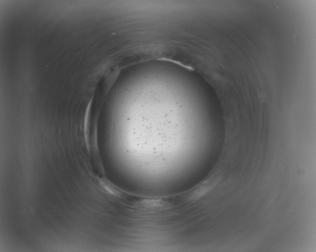 X0000054390528200508121636