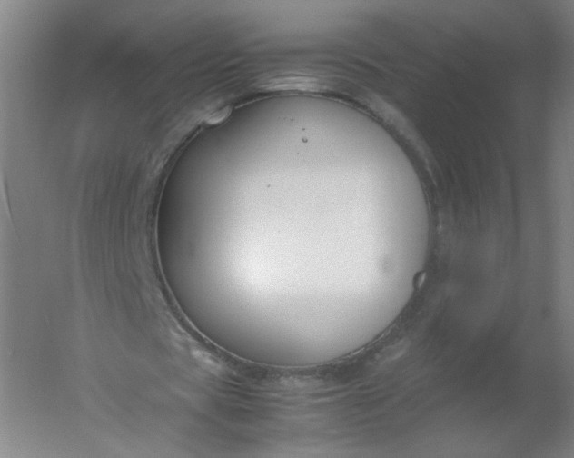 X0000054390529200508121635