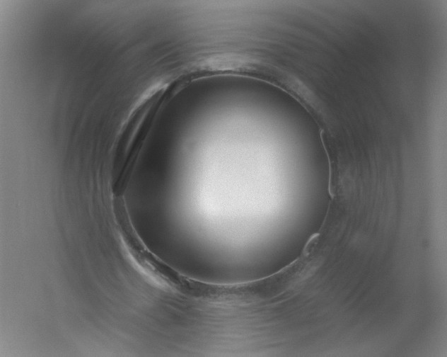 X0000054390530200508121635