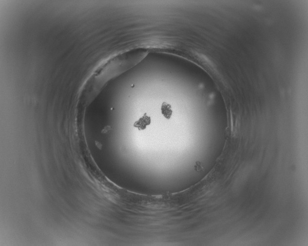 X0000054390531200508121635