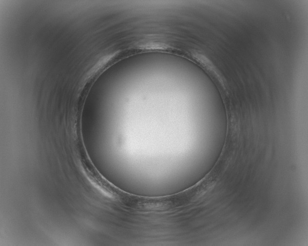 X0000054390533200508121635