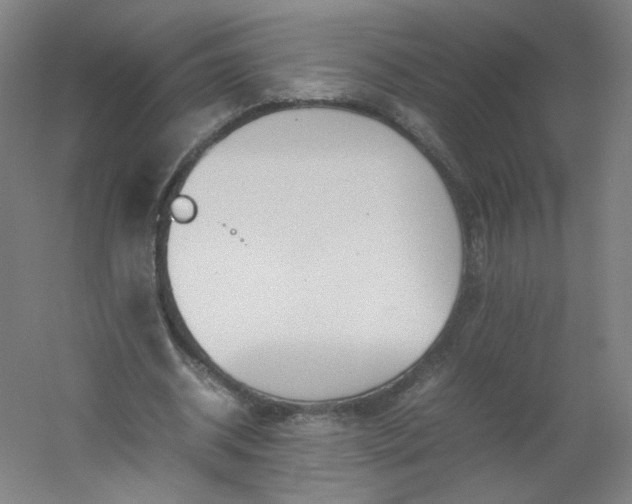 X0000054390534200508121635