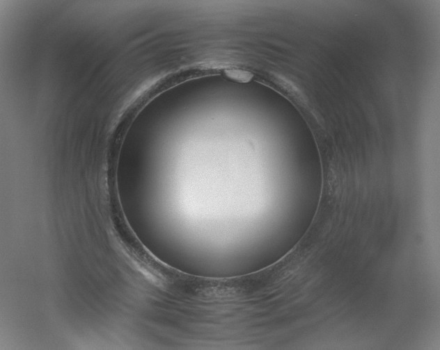 X0000054390535200508121635