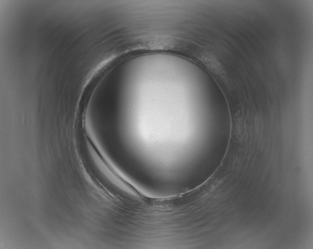 X0000054390536200508121635