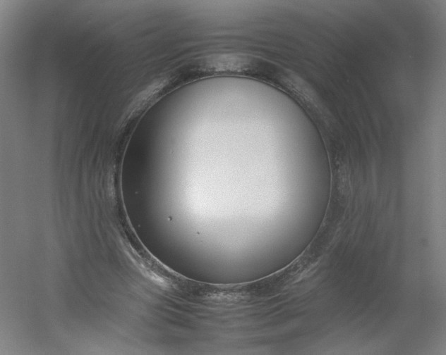 X0000054390537200508121635