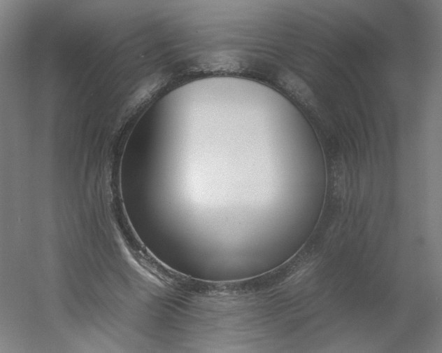 X0000054390538200508121635