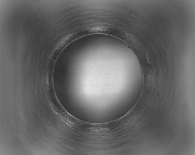 X0000054390539200508121635