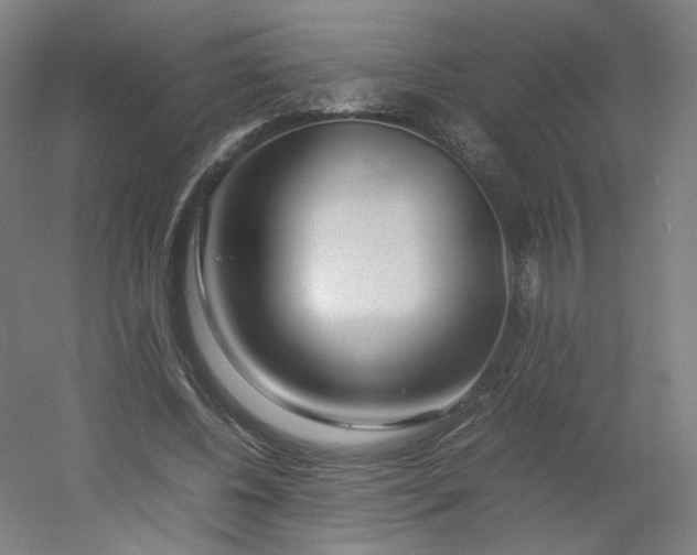 X0000054390540200508121635