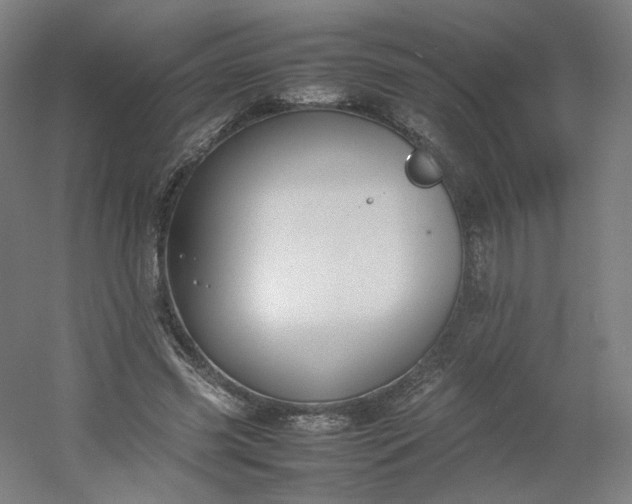 X0000054390541200508121635