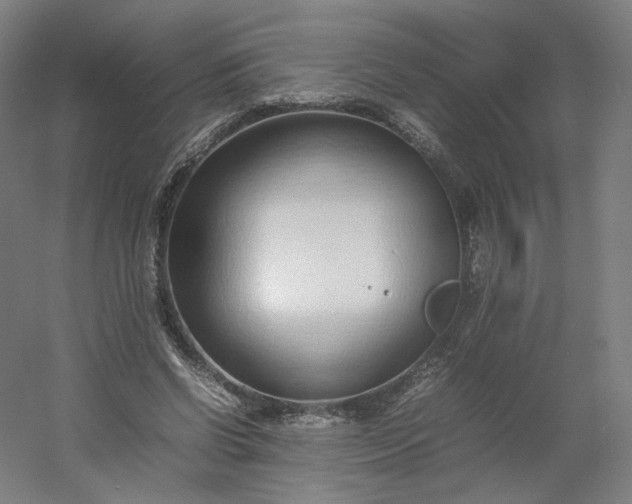 X0000054390542200508121635