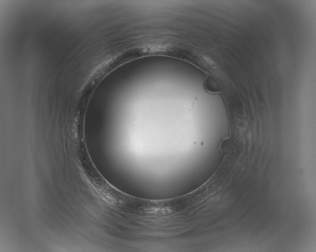 X0000054390543200508121635