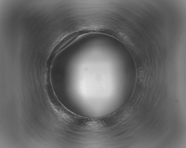 X0000054390544200508121635