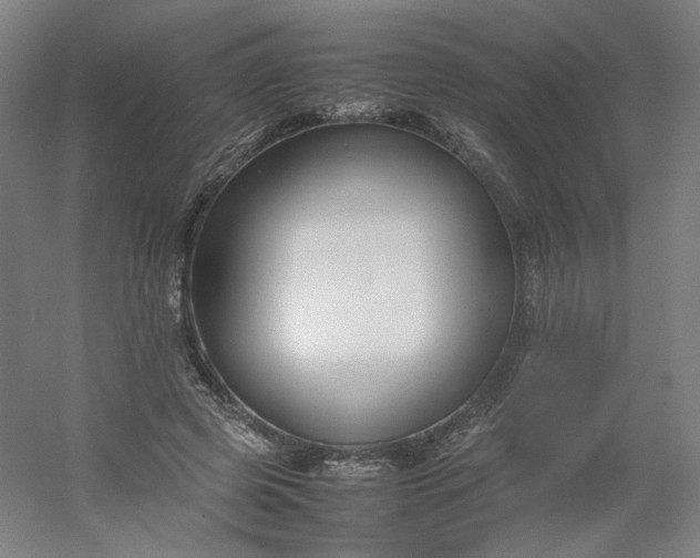 X0000054390545200508121635