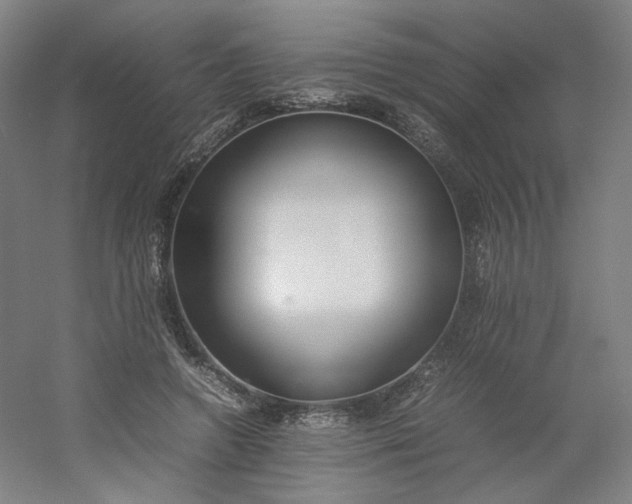 X0000054390546200508121635