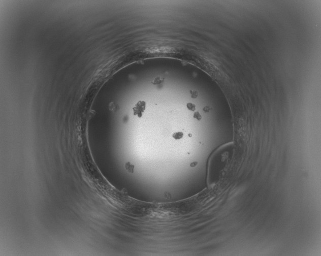 X0000054390547200508121635