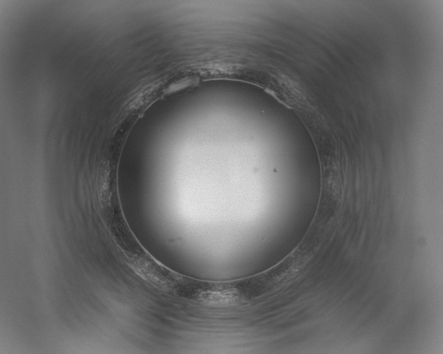 X0000054390548200508121635